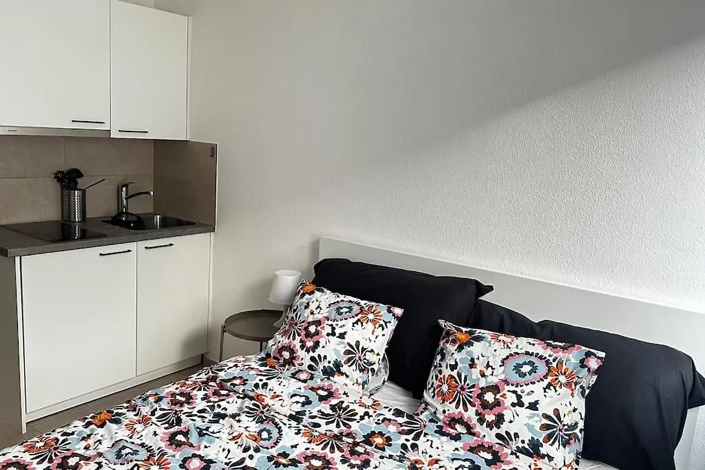 Studio Hyper Centre Apartment Geneva 0*,  Switzerland